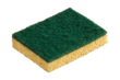 Natural abrasive sponge