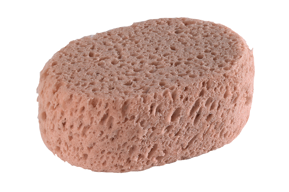 Oval synthetic sponge