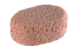 Oval synthetic sponge