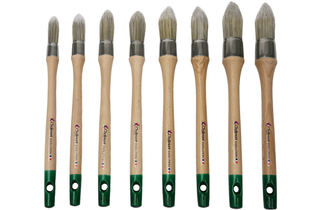 Set of 8 Evolution brushes